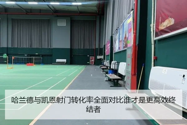 哈兰德与凯恩射门转化率全面对比谁才是更高效终结者