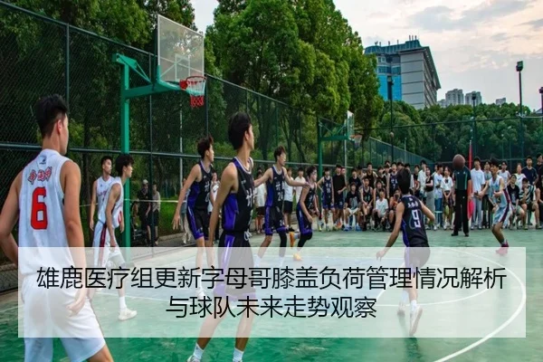 雄鹿医疗组更新字母哥膝盖负荷管理情况解析与球队未来走势观察